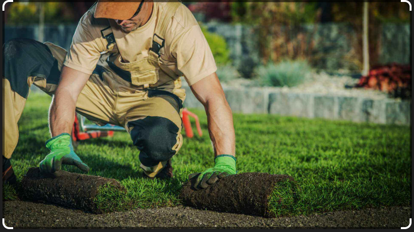 Landscaping Services
